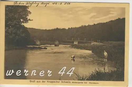 Heimborn v. 1912  Kroppacher Schweiz,-Nisterpartie mit Brücke und Kinder im Wasser  (3134)