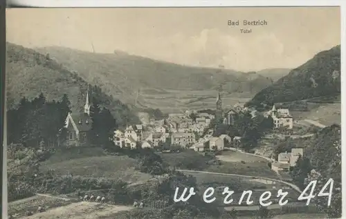 Bad Bertrich v.1911  Total - Dorfansicht  (5281)