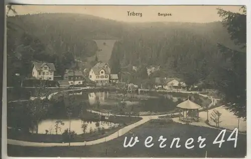 Triberg v.1923 Bargsee & Gasthof  mit Rondell (6099-20)