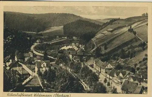 Wildemann v. 1960  Dorf-Ansicht  (53593)