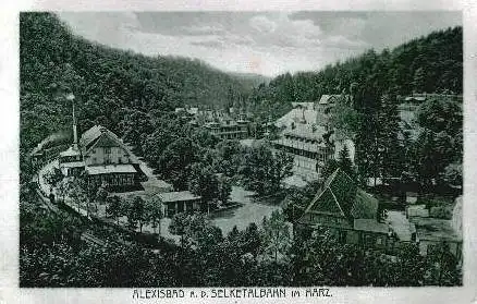Alexisbad v.1928 Selketalbahn (2399A)