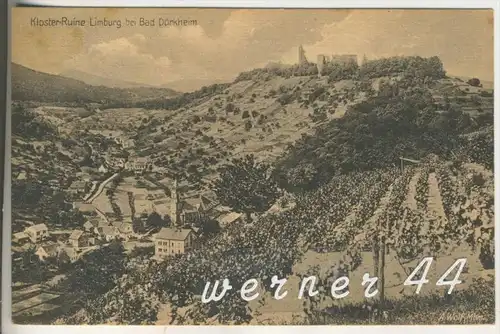 Bad Dürkheim v.1937 Dorfansicht und Kloster Ruine Limburg und Weinanbau bei Bad Dürkheim  (3657)