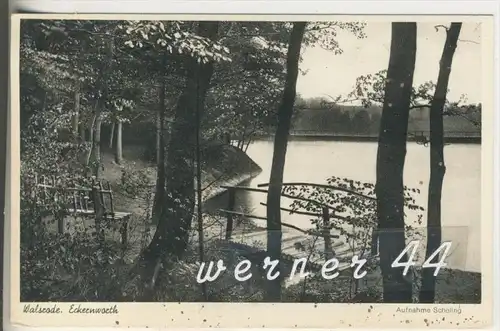 Walsrode v.1957 Blick zum See - Eckernworth  (4299)