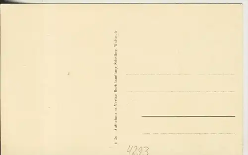 Walsrode v.1957 Vom Kirchturm aus gesehen die Stadt  (4293)