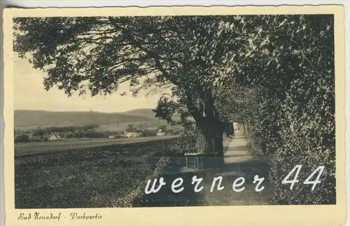 Bad Nenndorf v.1954 Parkpartie mit Siedlung  (4360)