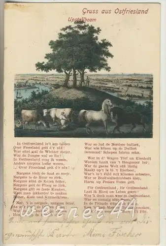 Gruss aus Ostfriesland (Hage) v. 1904  Der Upstallboom  (6046)