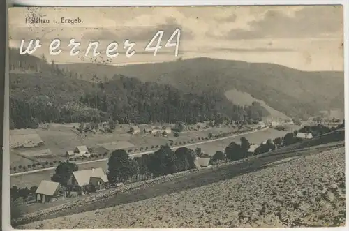 Holzhau v. 1915  Teil-Dorf-Ansicht  (6766)