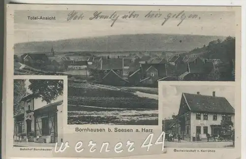 Bornhausen b. Seesen v.1928 Total-Dorf-Ansicht,Bahnhof Bornhausen,Gastwirtschaft von Karl Uhde  (7018)