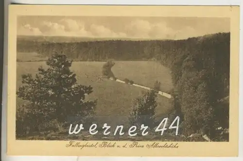 Fallingbostel v.1925  Blick von der Prinz Albrechthöhe (7902)