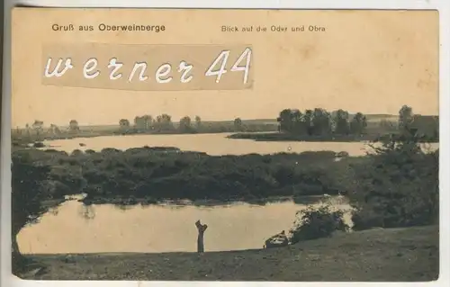 Gruss aus Oberweinberge v.1923 Blick auf die Oder und Obra  (9099-015)