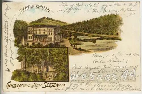 Gruss aus Seesen v.1900   Siebers Kurhaus  "Grüne Jäger" (10277)