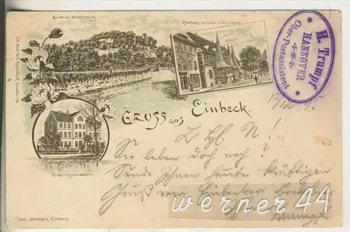 Gruss aus Einbeck v."1895"  Ruine der Heldenburg,Rathaus mit Sälen d. Technikums,Realprogymnasium  (11088)