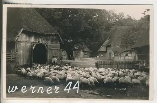 Eimke / Uelzen v.1953 Bauernhof & Schafe (17328)