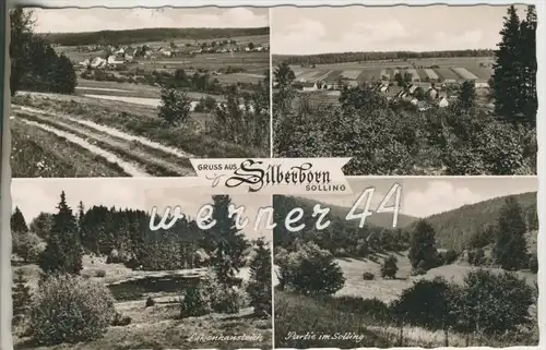 Silberborn v.1963 Lakenhausteich,Partie im Solling, 2 mal Dorfansicht  (18601)