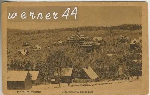 Barenberg im Harz v.1924  Die Villenkolonie (19921)