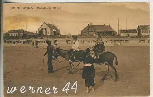 Norderney v. 1910 Eselreiten am Strand (26968)
