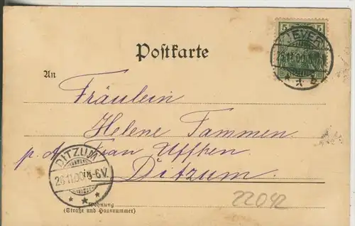 Gruss aus Jever v.1900 Haus & Schwanenteich (22042)