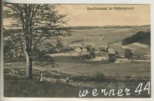 Neu-Dammbach bei Hildburghausen v. 1918 Dorfansicht mit Kinder (23959)