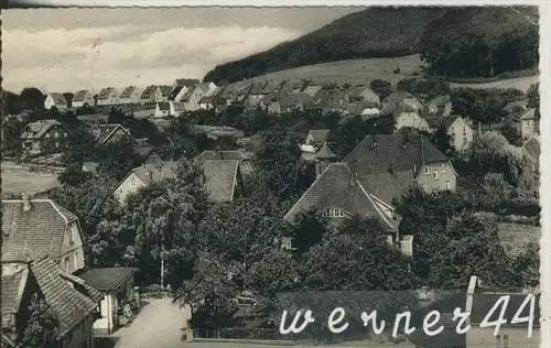 Steinbergen v. 1958 Teil-Dorf-Ansicht (37478)