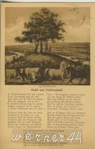 Leer (Ostfriesland) v. 1917  Upstallsboom -- Bäuerin beim melken auf der Weide  (47316)