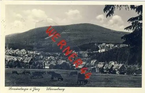 Braunlage von 1942 Stadt & Kuhherde (21674)