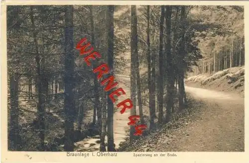 Braunlage von 1931 Spazierweg an der Bode (21690)