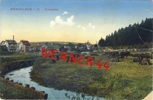 Braunlage von 1911 Kuhweide mit Bode (21695)