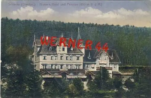 Schierke von 1920 Hoppe`s Hotel (21781)