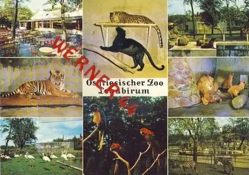 Logabirum v. 1972  Ostfiesischer Zoo  (35759)