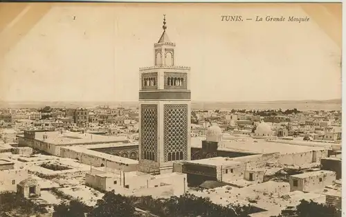 Tunis v. 1910  La Grande Mosquee   (53857)