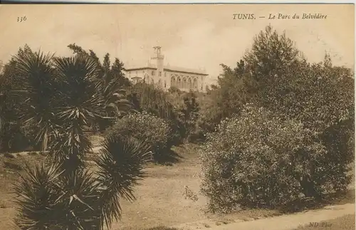 Tunis v. 1910  La Parc du Belvedere   (53859)