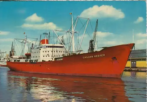 Antwerpen v. 1967  Schiff "Chilean Reefer"  (55114)