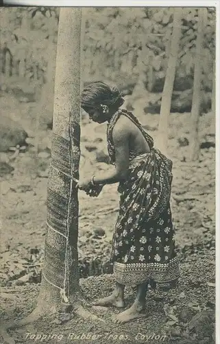 Ceylon v. 1931  Tapping Rubber Trees (45384)