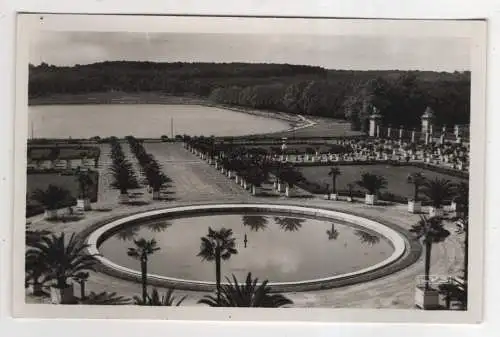 [Ansichtskarte] FRANCE -  Versailles - L'Orangerie et Pièce d'eau de Suisse. 