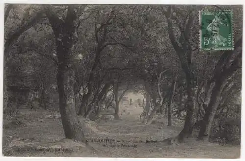 [Ansichtskarte] FRANCE - Noirmoutier - Sous-bois les Dames. 