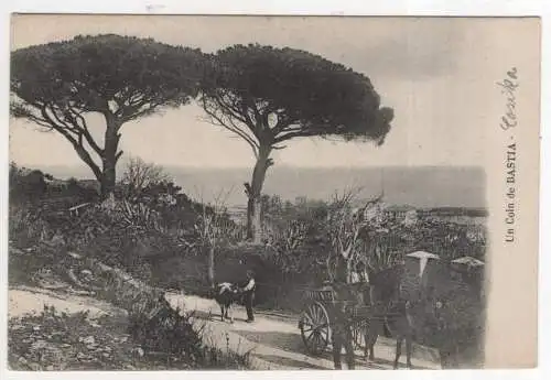 [Ansichtskarte] FRANCE - Un coin de Bastia. 