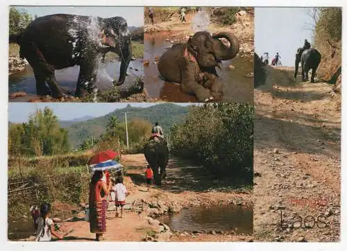 [Ansichtskarte] LAOS - Saysaboury - Hongsa - The Elephant Village. 