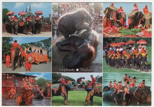 [Ansichtskarte] THAILAND - elephants. 