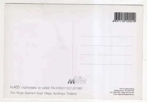 [Ansichtskarte] THAILAND - elephants. 