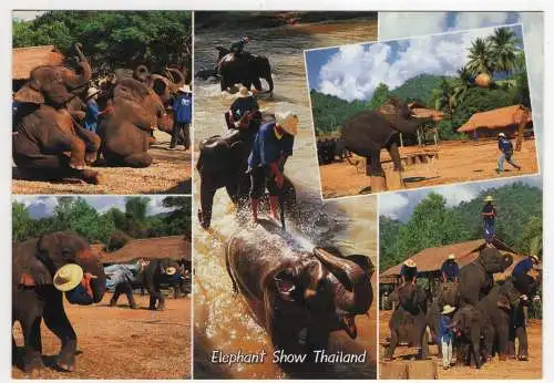 [Ansichtskarte] THAILAND - elephant show. 