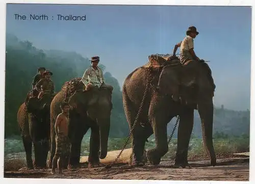 [Ansichtskarte] THAILAND - The North. 