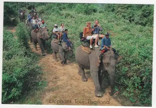 [Ansichtskarte] THAILAND - Elephant Tour. 