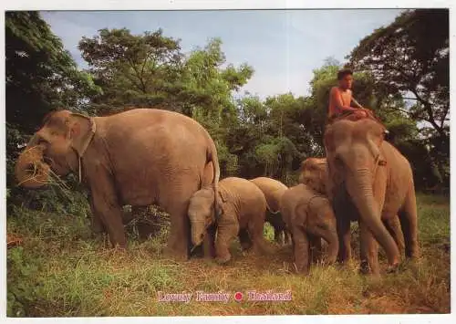 [Ansichtskarte] THAILAND - Lovely Family. 