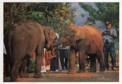 [Ansichtskarte] THAILAND - Lovely Family. 