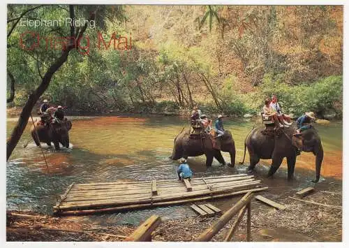 [Ansichtskarte] THAILAND - Elephant Riding. 