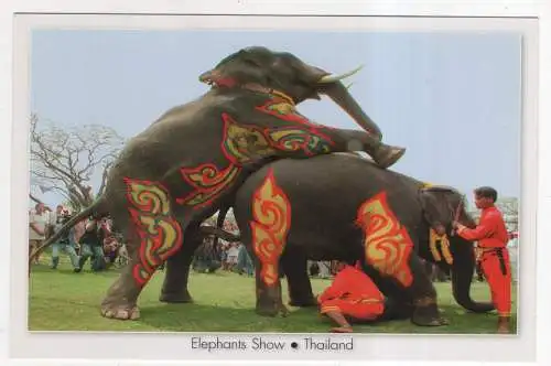 [Ansichtskarte] THAILAND - Elephants Show. 