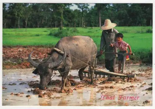 [Ansichtskarte] THAILAND - Thai Farmer. 