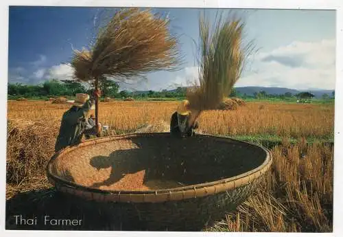 [Ansichtskarte] THAILAND - Thai Farmer. 