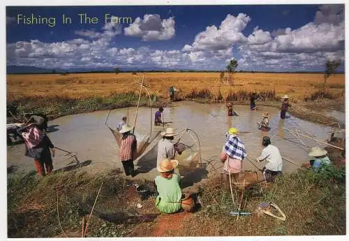 [Ansichtskarte] THAILAND - Fishing in the farm. 