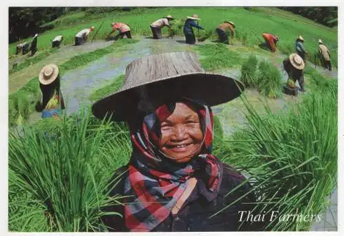 [Ansichtskarte] THAILAND - Thai Farmers. 